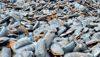 Hot briquetted iron (HBI) from Stena Metal Inc